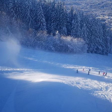 Les Frahans Samoëns Extérieur photo