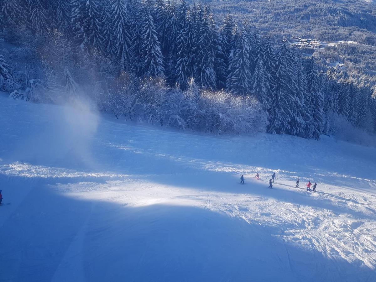 Les Frahans Samoëns Extérieur photo